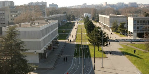 Université Lyon 1 - Management du sport, formation à distance à Villeurbanne