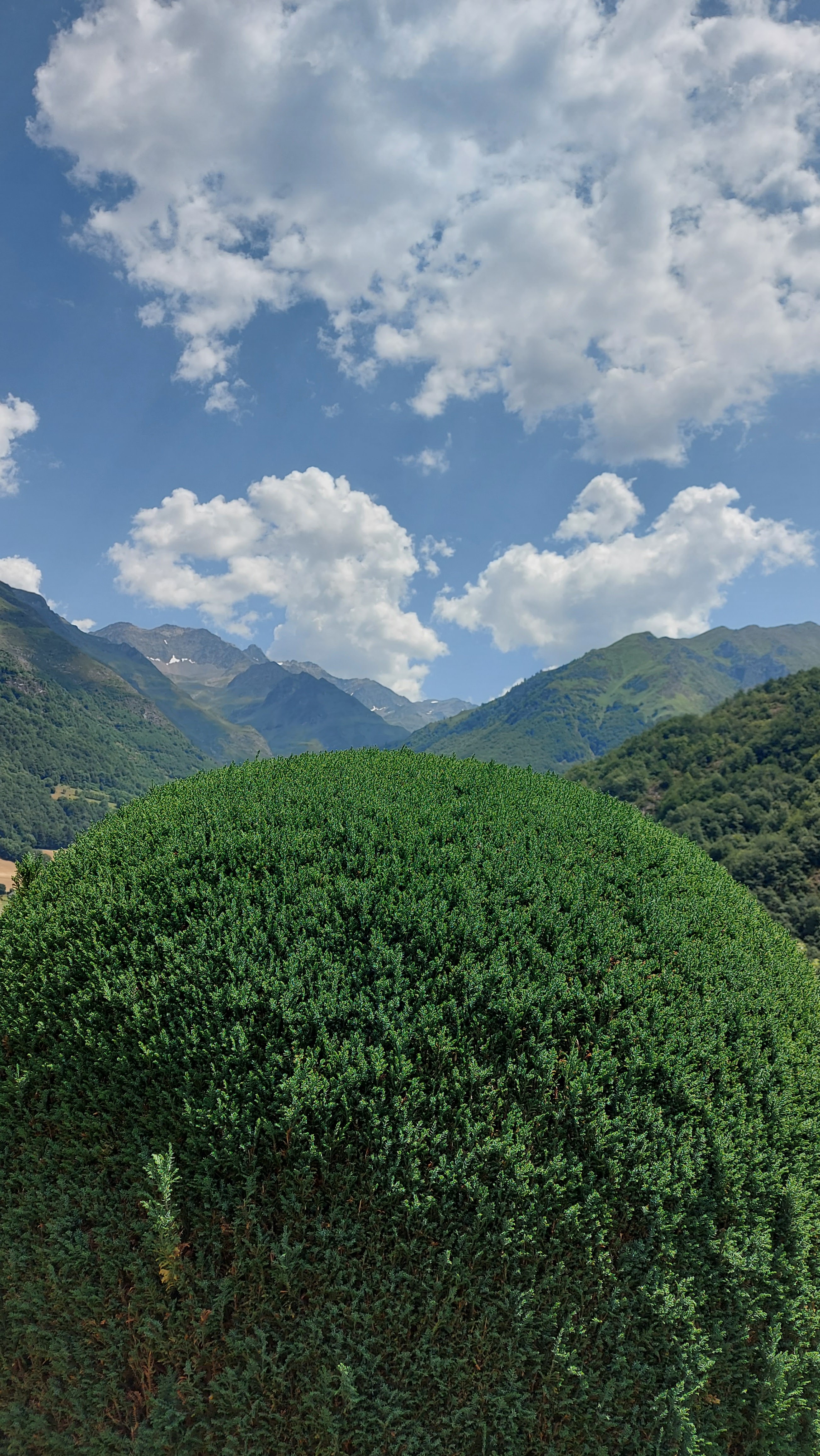 Photo n° 1 de l'avis de Leendert.e fait le 05/08/2021 à 15:49