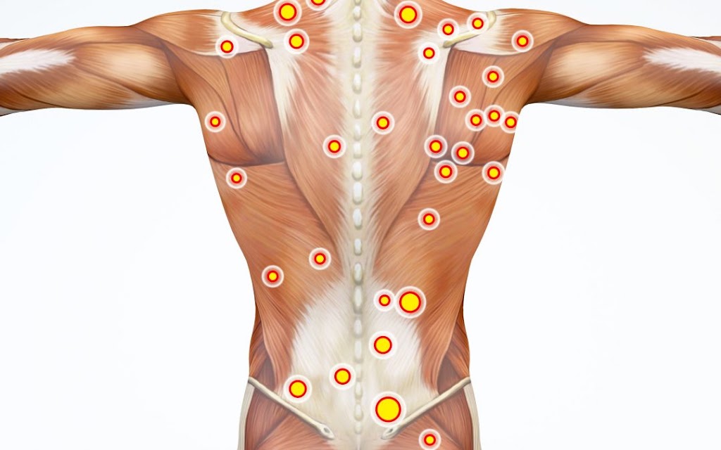 Muscular therapy Massage at Lakeview,Chicago 60657
