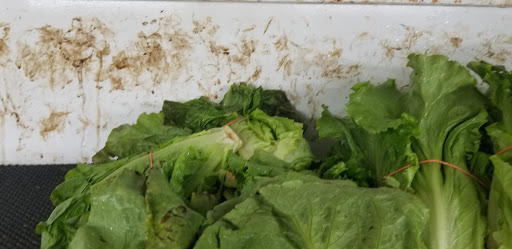 Mexican Grocery Store «Carnicerias Jimenez», reviews and photos, 550 W Dundee Rd, Wheeling, IL 60090, USA