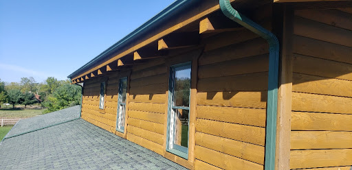 Animal Control Service «Platinum Wildlife Removal», reviews and photos