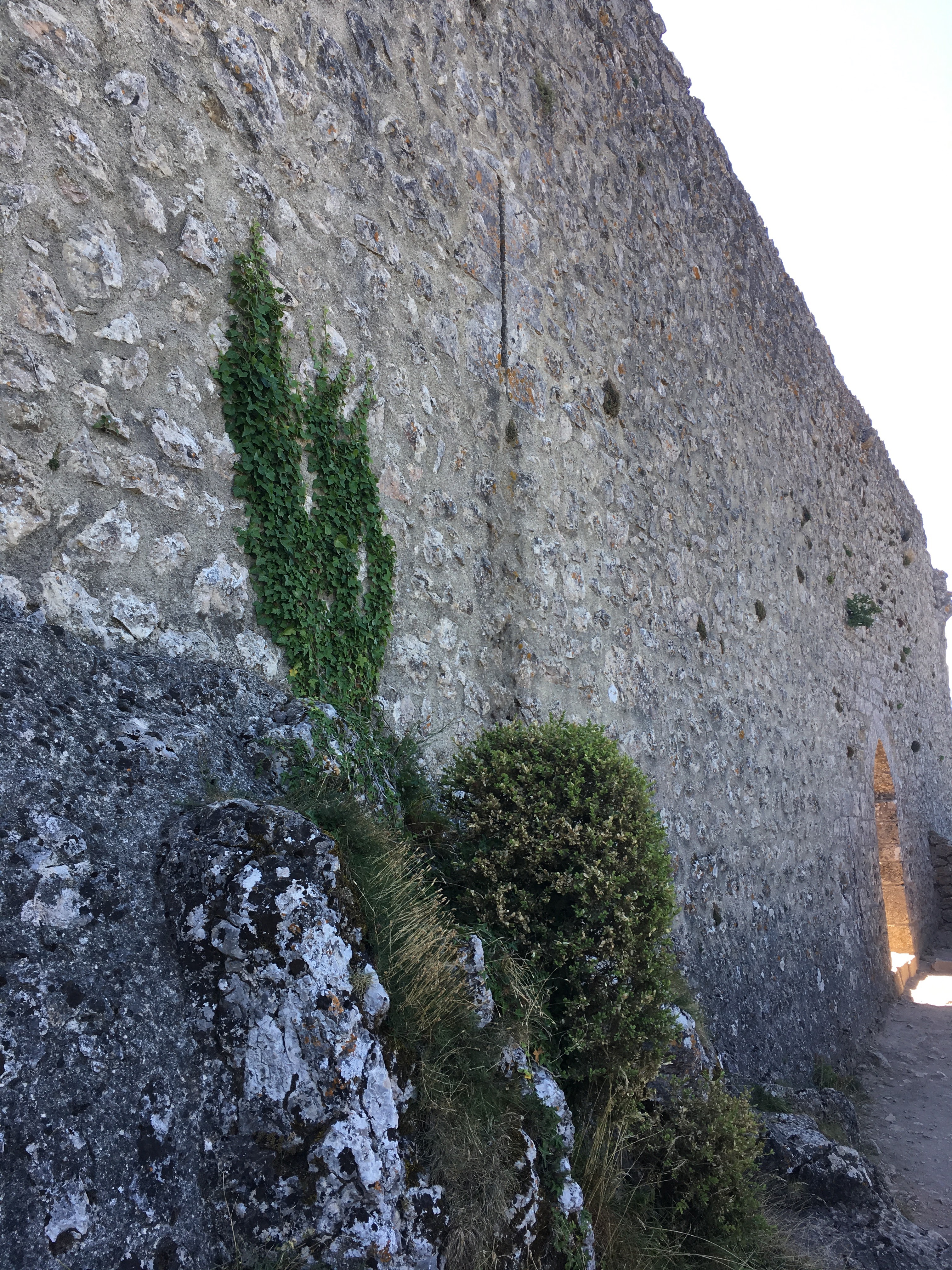 Photo n° 33 de l'avis de Guillaume. fait le 14/08/2019 à 18:59