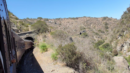 Tunel El Piñel