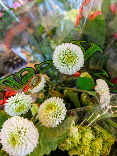 Supermarket «ALDI», reviews and photos, 606 N West End Blvd, Quakertown, PA 18951, USA