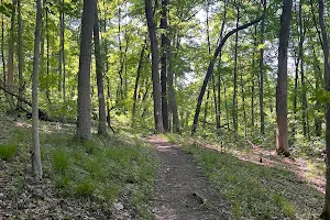 Green Rock Trail (South Trailhead) image