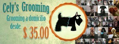 Cely'S Grooming