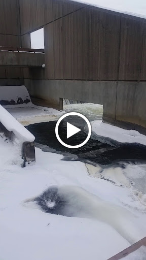 Tourist Attraction «Fish Ladder Park Grand Rapids», reviews and photos, 560 Front Ave NW, Grand Rapids, MI 49504, USA