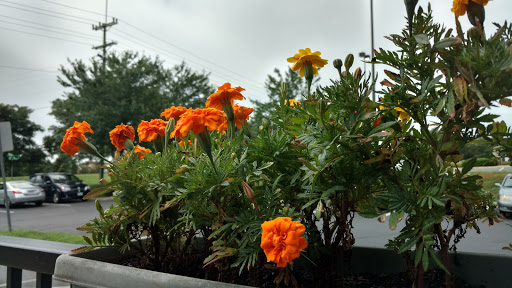 Coffee Shop «Starbucks», reviews and photos, 15185 Montanus Dr, Culpeper, VA 22701, USA