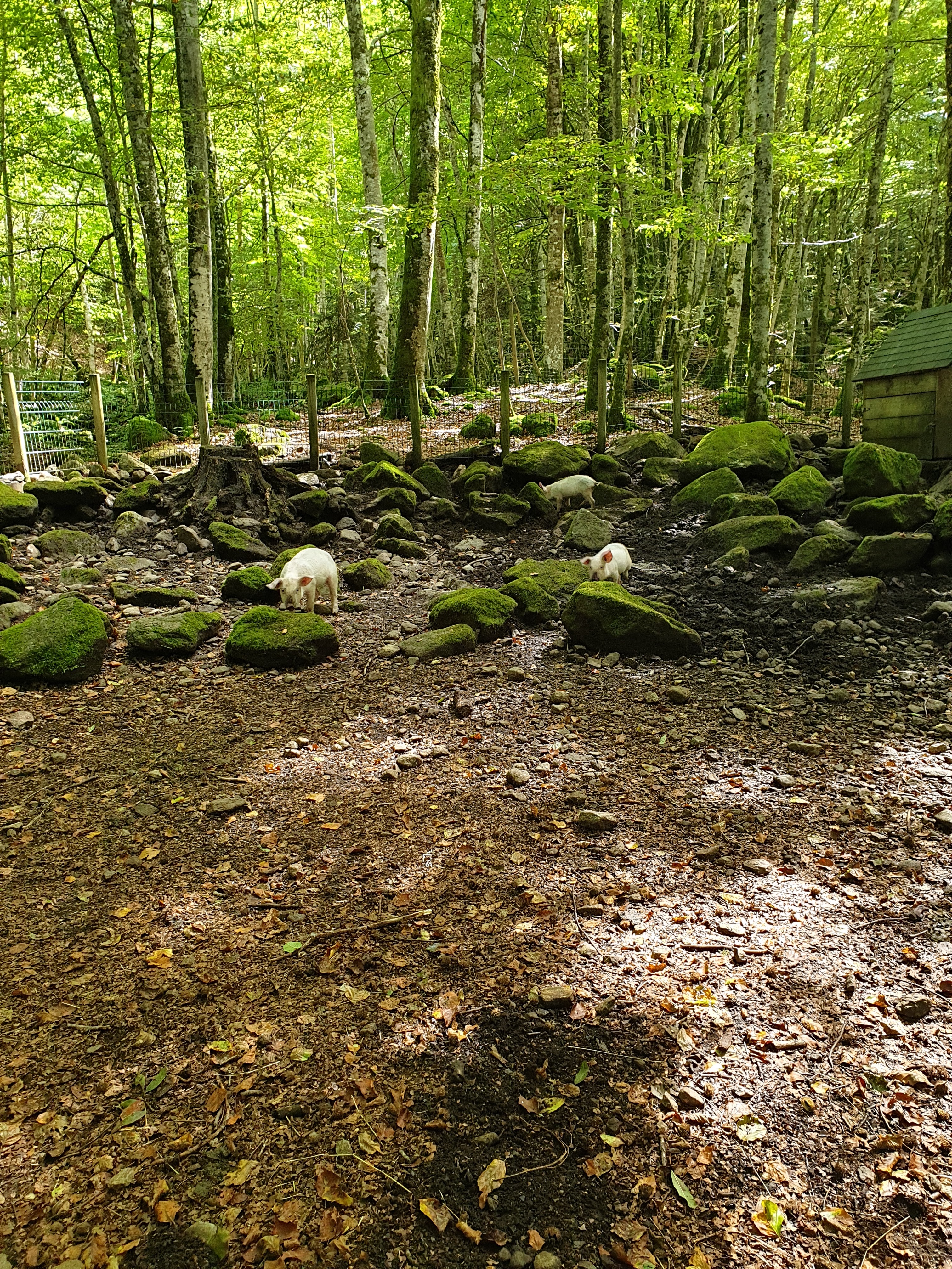 Photo n° 17 de l'avis de Sarah.h fait le 16/09/2020 à 12:45