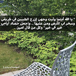 Photo n°3 de l'avis de lailaa.l fait le 30/05/2018 à 14:53 sur le  AMENITY Garden Apartments à Munich