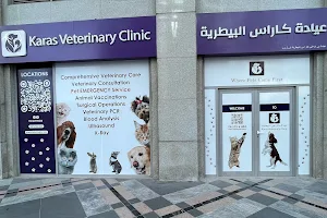 Karas Veterinary Clinic - Downtown image
