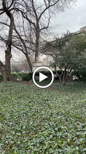 Art Museum «Art Museum of the Americas», reviews and photos, 201 18th St NW, Washington, DC 20006, USA