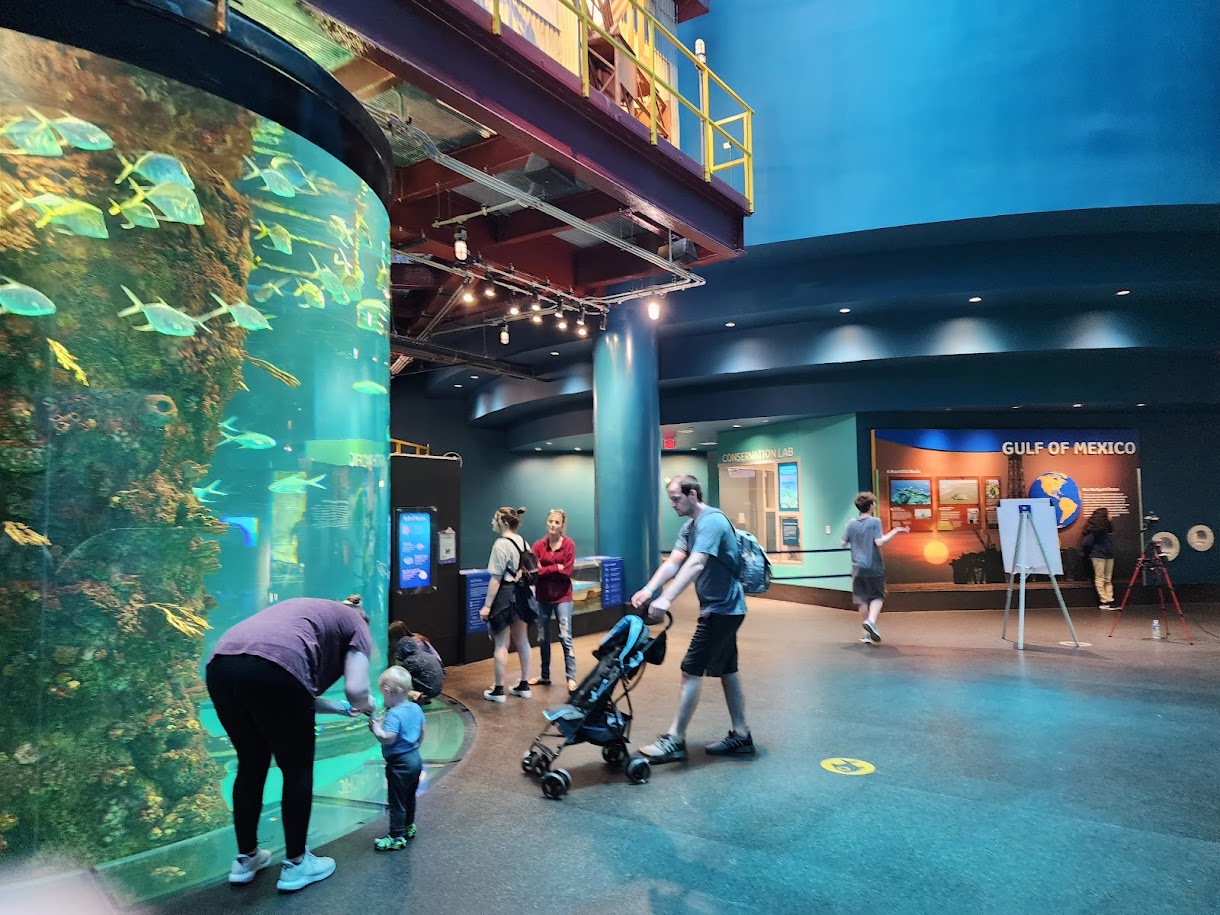 Aquarium At Moody Gardens