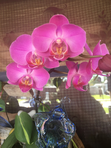 Check Cashing Service «Cash America Pawn», reviews and photos, 6902 66th St N, Pinellas Park, FL 33781, USA