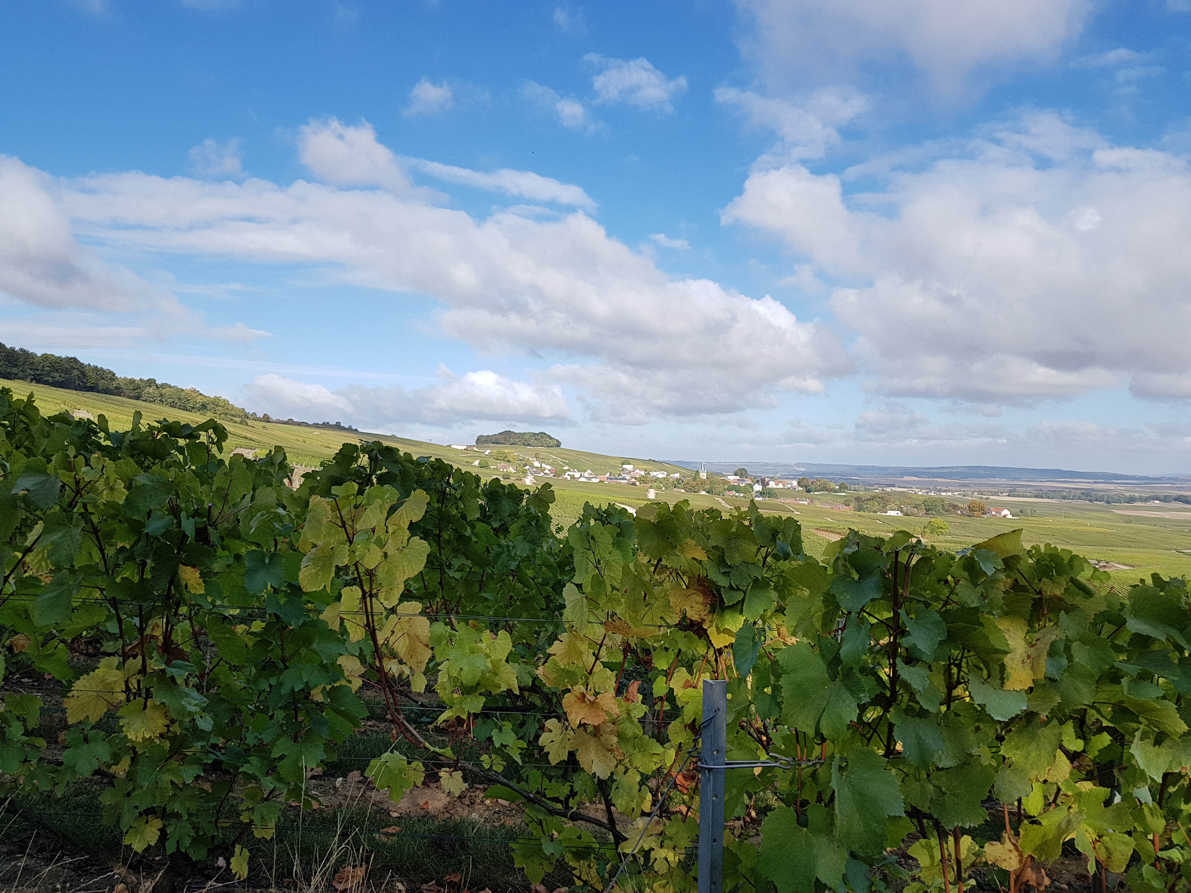 Photo n° 4 de l'avis de Cécile.a fait le 07/10/2018 à 06:06