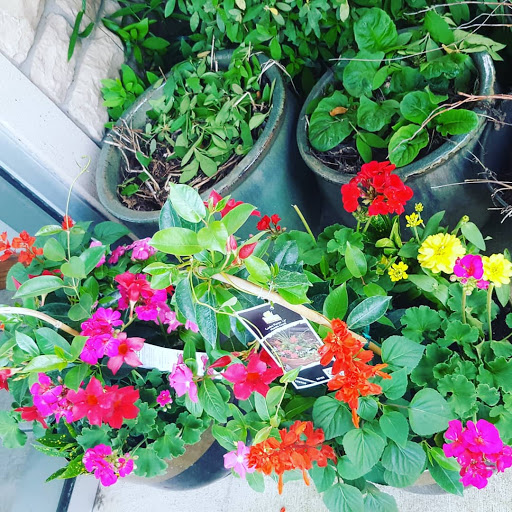 Day Care Center «Kids R Kids Johns Creek Parkway», reviews and photos, 3835 Johns Creek Pkwy, Johns Creek, GA 30024, USA