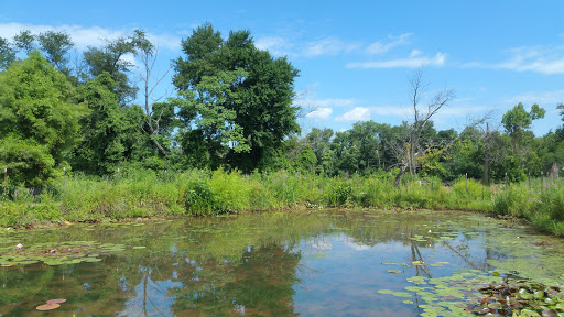 National Park «Kenilworth Park», reviews and photos, 1505 Ancostia Ave NE, Washington, DC 20019, USA