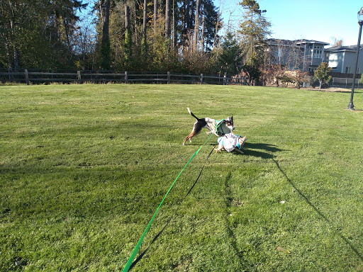 Park «Evelyn M. Schiffler Memorial Park», reviews and photos, SW Erickson Ave, Beaverton, OR 97005, USA