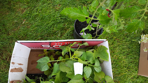 Park «Gamebird Park», reviews and photos, 1500 Mallard Ave, Springfield, OR 97477, USA