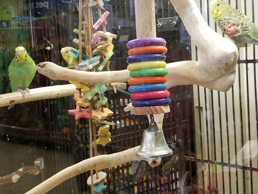 Pet Supply Store «PetSmart», reviews and photos, 620 N West End Blvd, Quakertown, PA 18951, USA