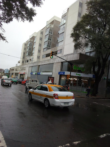 Frog Maxishop 18 - Supermercado