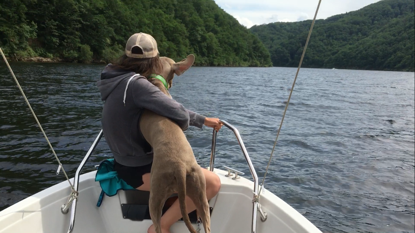 Photo n° 1 de l'avis de Ned.x fait le 07/07/2023 à 08:49