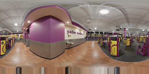 Gym «Planet Fitness», reviews and photos, 30701 US-19, Palm Harbor, FL 34684, USA