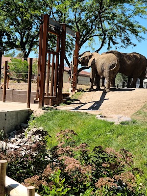 Indianapolis Zoo - photo 5