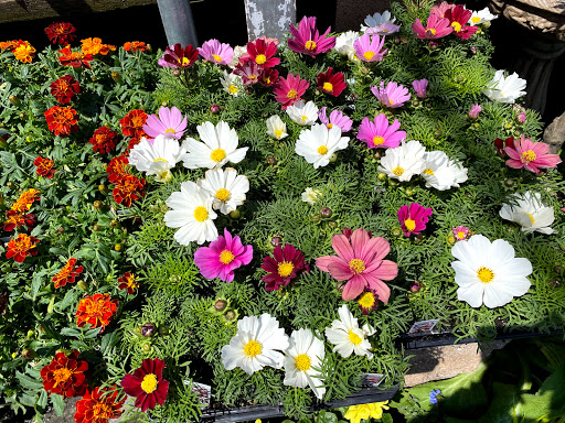 Hardware Store «Payless Hardware, Rockery and Nursery», reviews and photos, 2927 King Rd, San Jose, CA 95122, USA