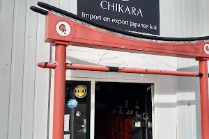 Chikara Koi image