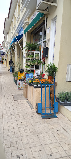 Pajareria Antonio en Estacion de Cartama, Málaga