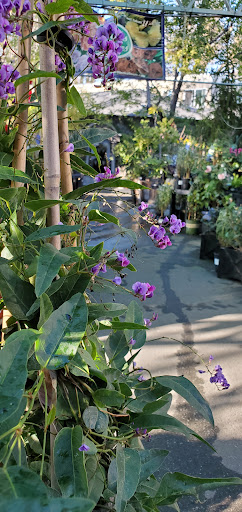 Hardware Store «Downtown Walnut Creek Ace Hardware», reviews and photos, 2044 Mt Diablo Blvd, Walnut Creek, CA 94596, USA