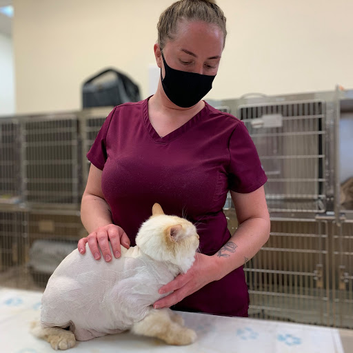 Pet Supply Store «North Tampa PET DEPOT», reviews and photos, 16033 Tampa Palms Blvd W, Tampa, FL 33647, USA