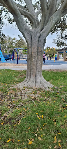 Park «Doyle Community Park», reviews and photos, 8175 Regents Rd, San Diego, CA 92122, USA