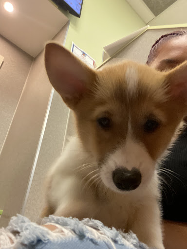 Pet Store «Pet City Pet Shops», reviews and photos, 750 Citadel Dr N # 2092, Colorado Springs, CO 80909, USA