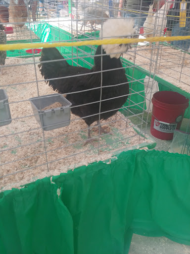 Fairground «Conservatory at the Sussex County Fairgrounds», reviews and photos, 37 Plains Rd, Augusta, NJ 07822, USA