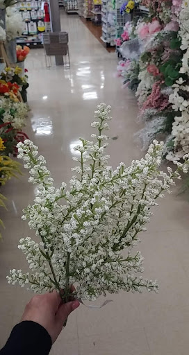 Craft Store «Michaels», reviews and photos, 205 Palm Bay Rd NE #14, West Melbourne, FL 32904, USA