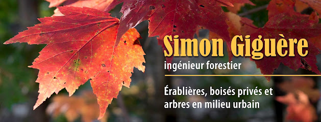 Simon Giguère Ingénieur forestier