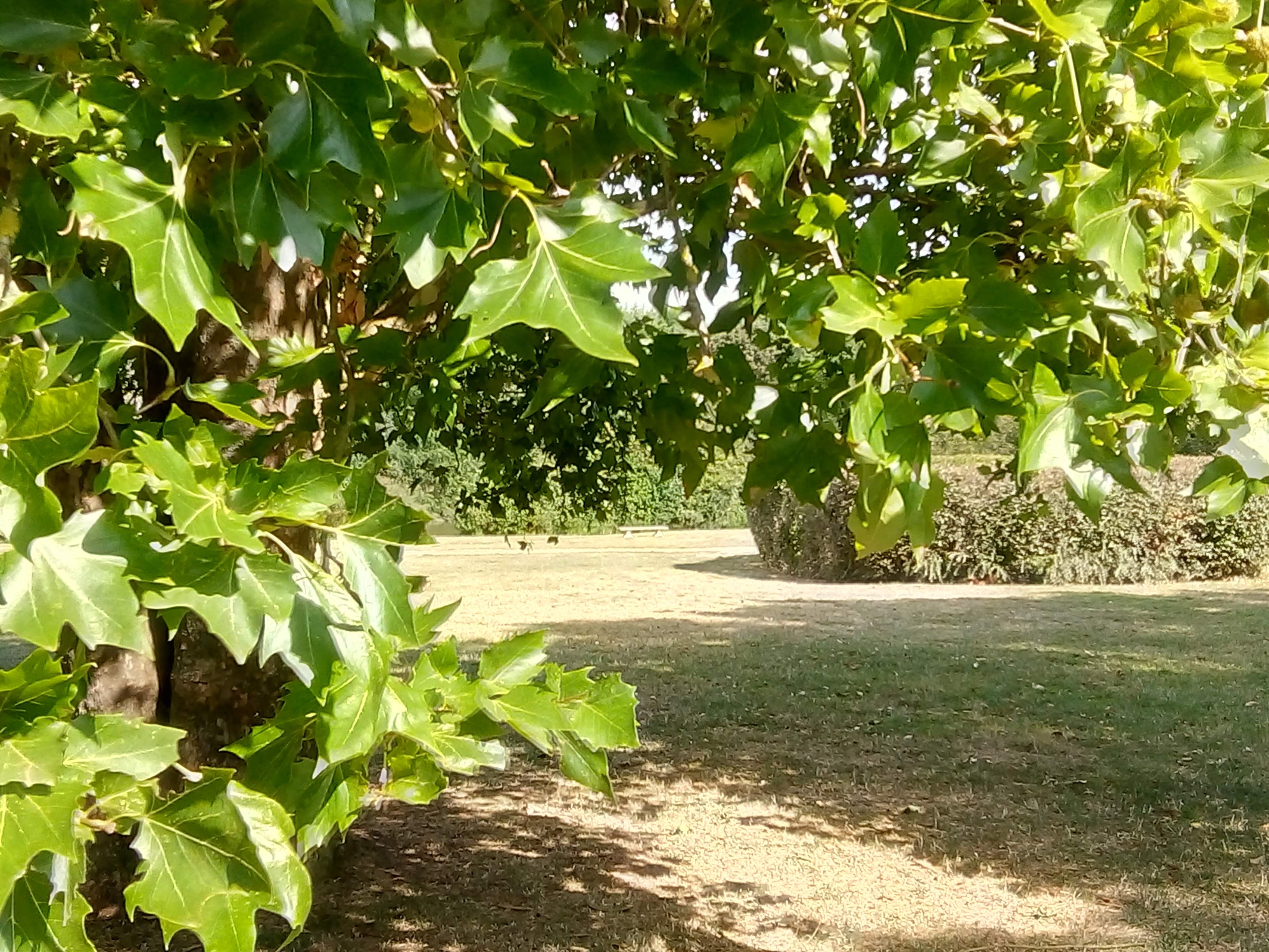 Photo n° 4 de l'avis de gérard.h fait le 12/09/2019 à 21:19