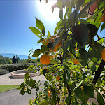 Photo n°5 de l'avis de Aline.i fait le 23/06/2022 à 15:13 sur le  Hotel Ristorante Panoramica à Salò