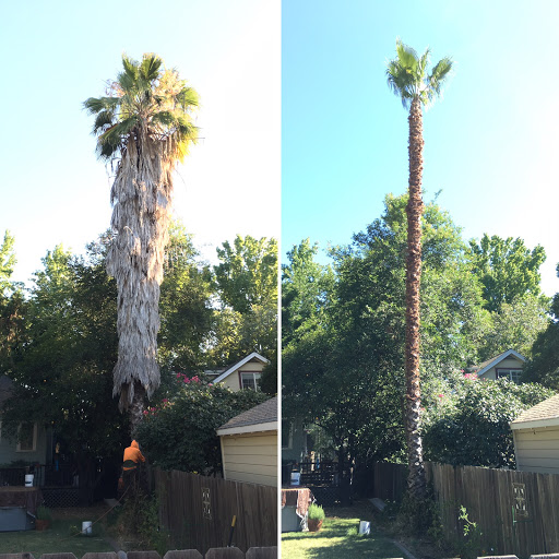 Greenzway Tree Service