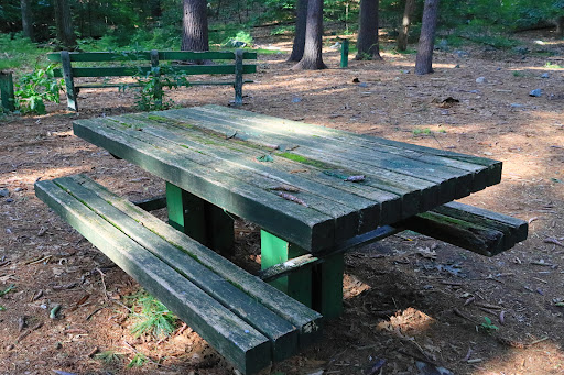 Park «Town of Arlington Menotomy Rocks Park», reviews and photos, 129 Jason St, Arlington, MA 02476, USA