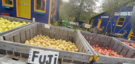 Gift Shop «Beech Spring Gift Shop», reviews and photos, 11600 Lee Hwy, Sperryville, VA 22740, USA