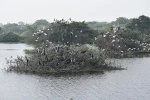 Nelapattu Bird Sanctuary Entrance image