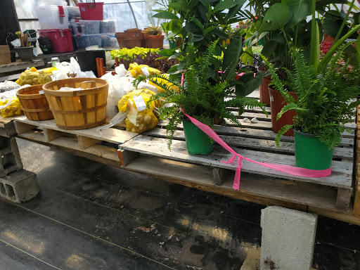 Garden Center «Beachside Gardens & Gifts», reviews and photos, 3725 US-12, Michigan City, IN 46360, USA