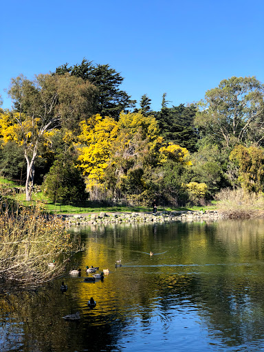 Public Golf Course «Gleneagles Golf Course at McLaren Park», reviews and photos, 2100 Sunnydale Ave, San Francisco, CA 94134, USA