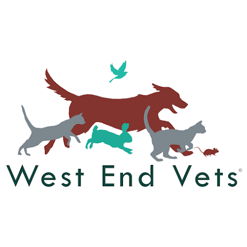 Comments and reviews of West End Vets - Morningside