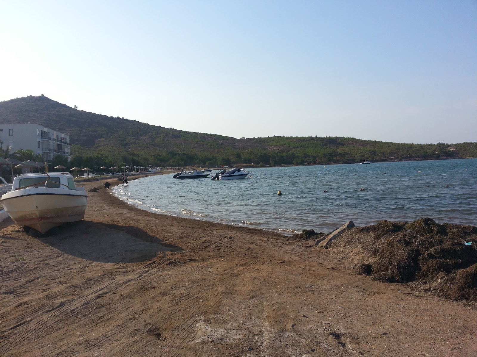 Photo of Altinkum beach with very clean level of cleanliness