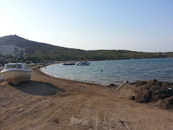 Foto de Altinkum beach área parcialmente resortada