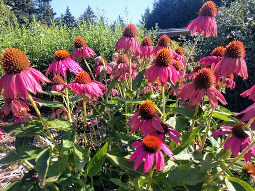 Park «Gabriel Park», reviews and photos, SW 45th Ave & Vermont Street, Portland, OR 97219, USA